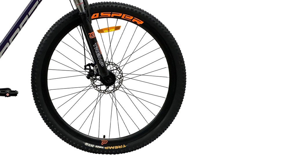 07705084331608 - Imagen 5