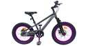 BICICLETA PROFIT 20er NICE 1 VEL GRIS/MORADO