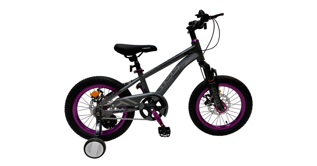BICICLETA PROFIT 16er NICE 1 VEL GRIS/MORADO