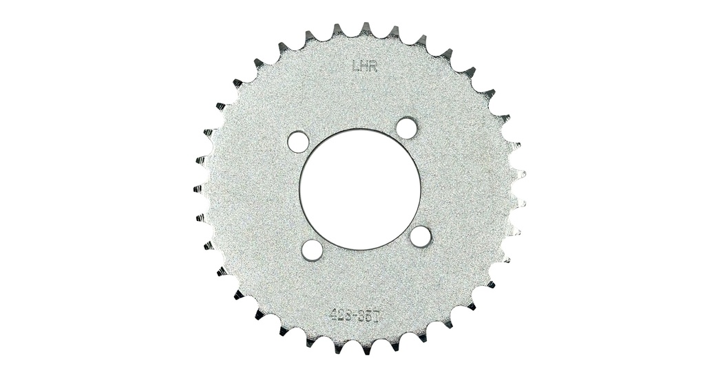 CATALINA/PINON TRAS VIVA 11