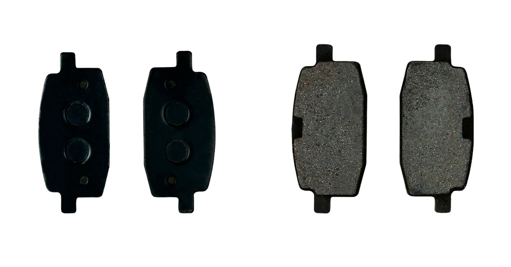 PASTA F.DEL.AKITA BWS